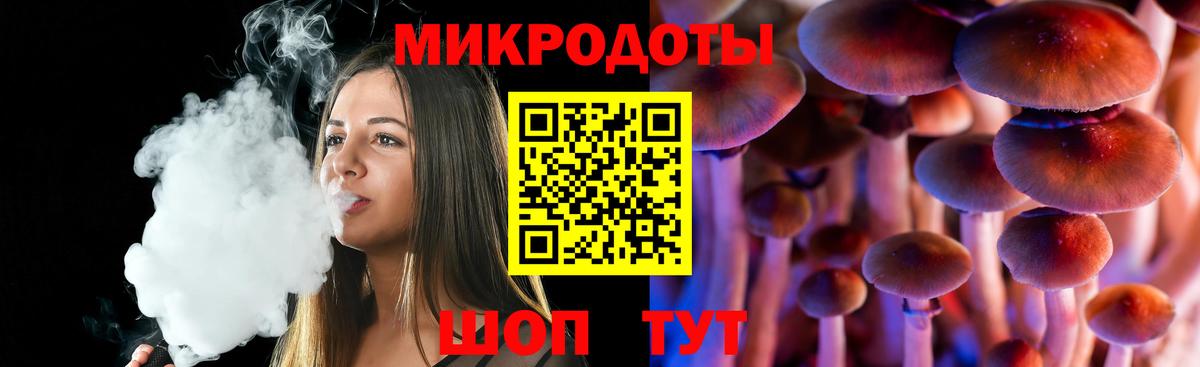 Михайловск  Псилоцибиновые грибы мухоморы  Вход с VPN 